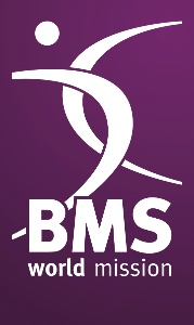 BMS world